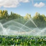 Irrigation Design in Colorado: Water Conservation Starts With Smarter Systems