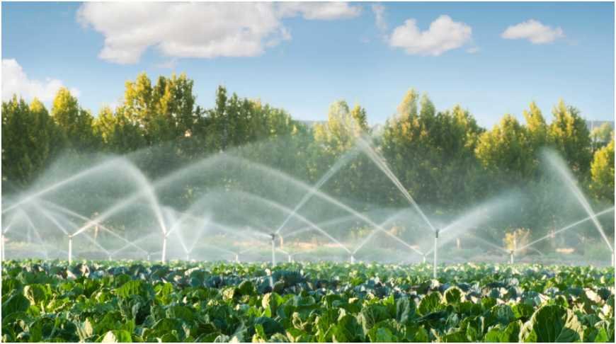 Irrigation Design in Colorado: Water Conservation Starts With Smarter Systems