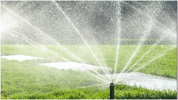 The Strategic Value of Working With Colorado Outdoor Environments